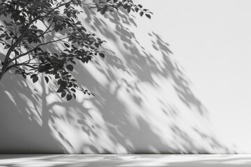 Tree shadows casting patterns on the wall and pavement in urban setting: silhouettes of trees outdoors, providing natural background for design 3d visuals. Empty podium for product displays