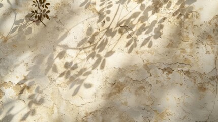 light beige stone background with subtle texture and blurred leaf shadows natural material highresolution digital photograph