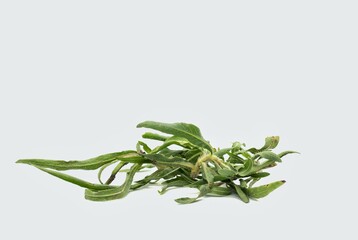 Hygrophila Auriculata or Kokilaksha Plant Leaves Isolated on White Background, Also Known as...