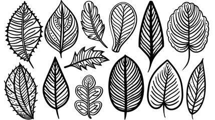 Elegant Botanical Silhouette Leaves in Minimalist Monochrome Design