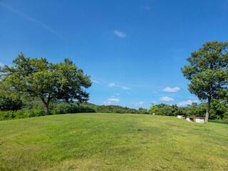 A grassy hill with two trees and a bench. The sky is blue and clear. The scene is peaceful and serene