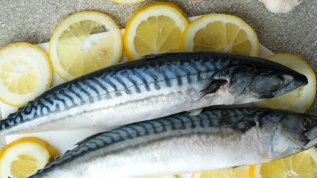 Uncooked mackerel sea fish with lemons and garlic, culinary recipe
