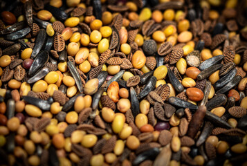 seeds background