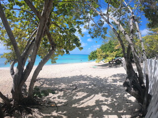 Cemetary beach in West Bay, Grand Cayman, Cayman Islands with white sand pristine turquoise water of the Caribbean sea 