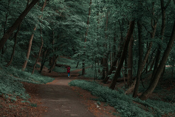 dusk morning forest trail atmospheric environment with unrecognizable person in red coat back to...