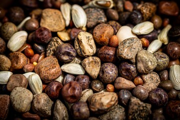 seeds  of cover crops background