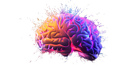 A vivid, multicolored 3D human brain on a transparent background PNG