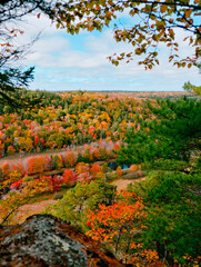 Fototapeta premium View of Autumn River Valley from Hilltop
