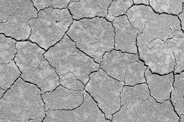 Wall texture soil dry crack pattern of drought lack of water of nature brown old broken background.