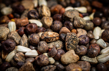 seeds mixture of cover crops background