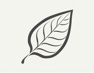 leaf icon, vector image on white background, logo