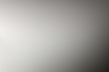 黒白ゼブラ背景。背景黒白ゼブラ。抽象的な黒白い背景。背景は白黒です。