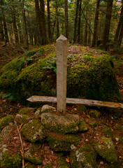 Property Marker Pole in Fall Forest