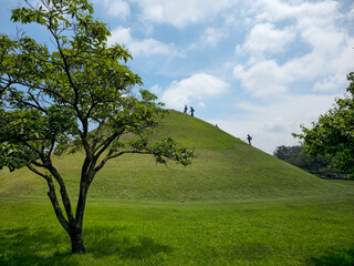 A tree is on a hill with a group of people walking on it. The hill is green and the sky is blue