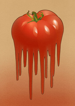 Big ripe tomato dripping
