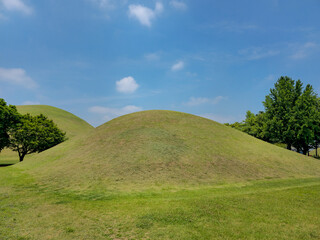 A grassy hill with a tree in the foreground. The hill is green and the sky is blue