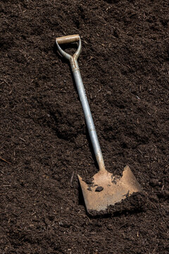 Shovel in compost
