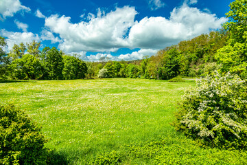 Sommerliche Wanderung durch die Kurstadt an der Werra bei Bad Salzungen und ihrer einzigartigen...