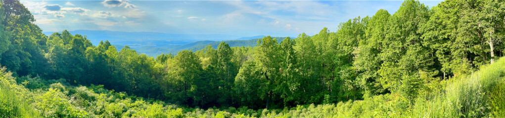 Shenandoah Valley Panorama