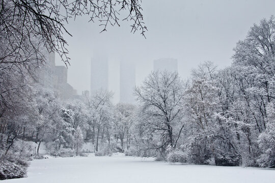 Snow covered Central Park