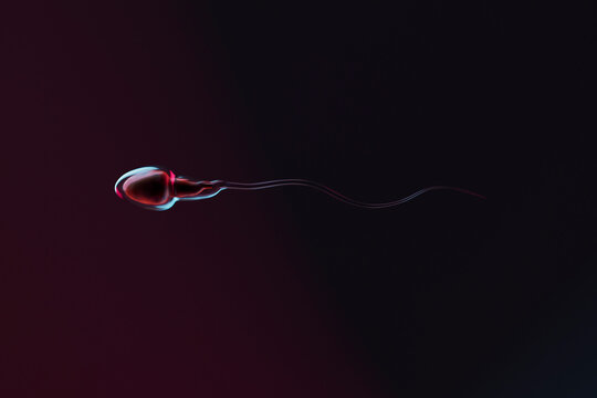 3D Render of Sperm Cell on Dark Background