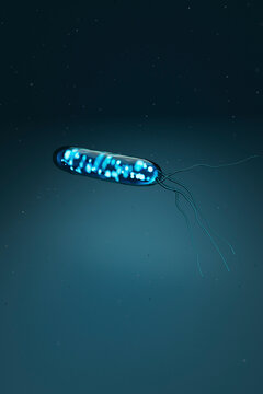 Bioluminescent Helicobacter Pylori Close-Up