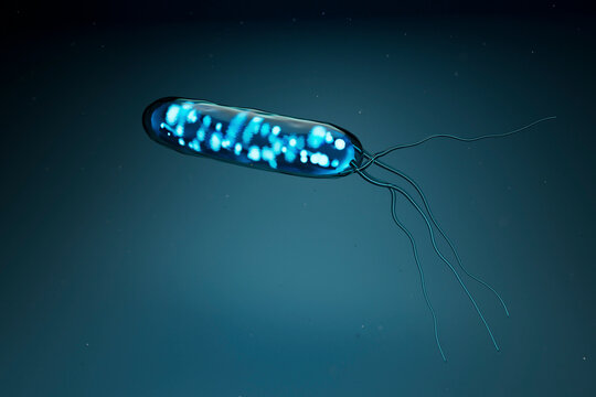  Helicobacter Pylori Bacterium in Blue
