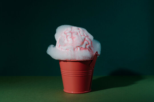 brain in a bucket with soap and water
