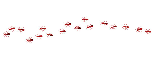 Red ants line 1 on a white background, vector illustration.