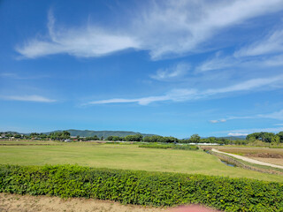 A field with a green hedge and a blue sky. The sky is clear and the sun is shining