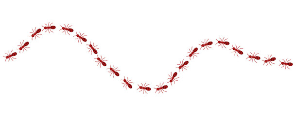 Red ants line 3 on a white background, vector illustration.