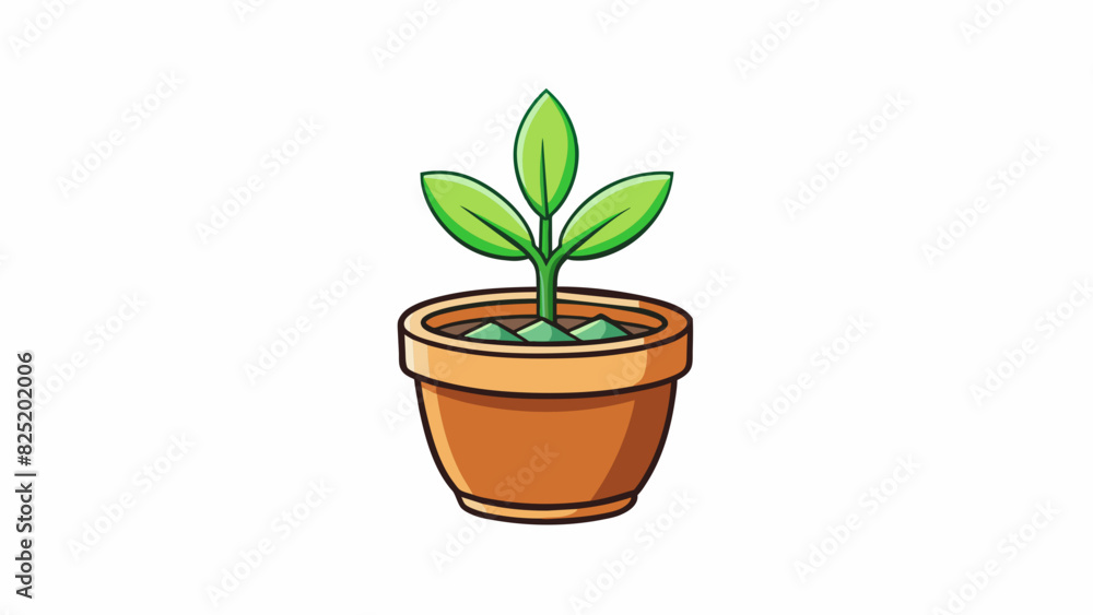 Poster a potted plant this instance is a living organism contained in a ceramic vessel. it has green leaves