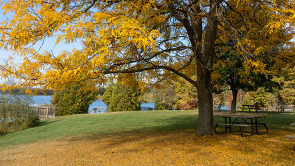 autumn color in Island Lake Park