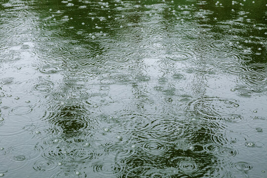 Close up of raindrops falling on a pond.