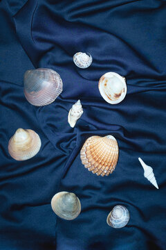 Ocean treasures: shells, mussels, clams, seashells on silk with flash
