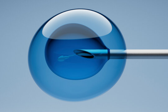 3D Render of Sperm Injection into Ovum