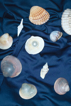 Ocean treasures: seashell and pearl on silk and hard direct flashlight