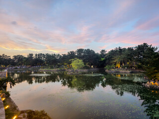 A pond with a tree in the middle and a few people walking around it. The sky is cloudy and the sun is setting