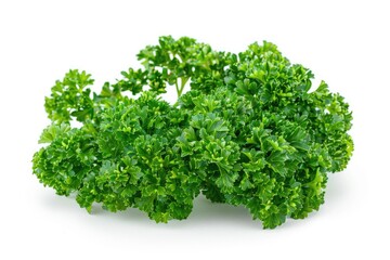 Fresh parsley with curly leaves isolated on white background