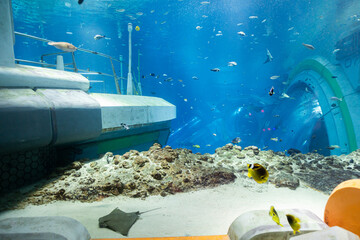 Abu Dhabi, UAE - April 24, 2024: Underwater scene with fish and marine life in a blue-lit aquarium...