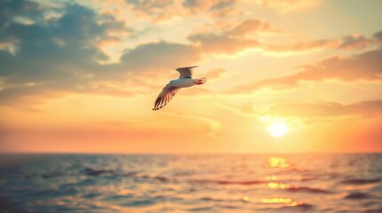 A bird soaring high in the sky, free and happy as the sun sets.