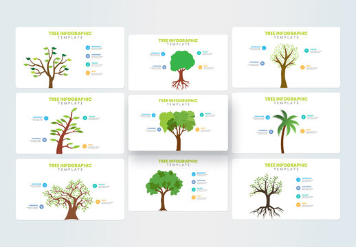 Circle Percentage Infographic Layout