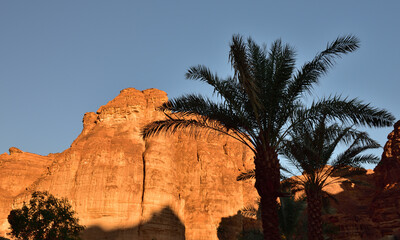 A huge red monolithic rock and palm trees at Shaden Resort near Al Ula in Saudi Arabia