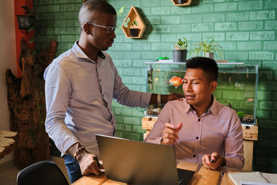 Colleagues collaborating in an office with a natural environment