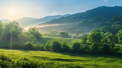 Obraz premium Landscape filled with greenery at morning with sunlight peeking through hills and cloudless sky