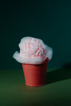 washing a brain in a bucket with soap and water