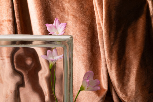 Freesias with glass and velvet