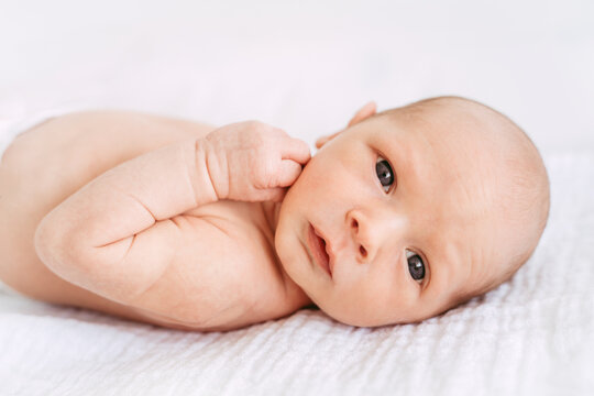 Cute awake baby looking at the camera.
