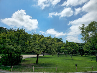A park with a few trees and a fence. The sky is blue with some clouds