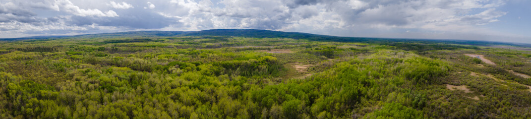 Aerial panoramic view of a large green forest with small marshes and a large hill in the distance. The sky is full of blueish gray clouds.
